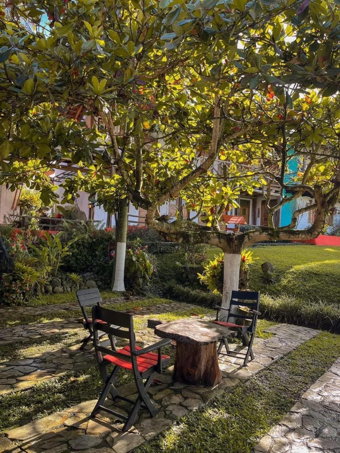 Finca Hotel Palmas Frente A Panaca Quimbaya Exterior foto